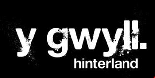 supporting image for Unit 3, Section A – Television in  the Global Age: Hinterland/Y Gwyll